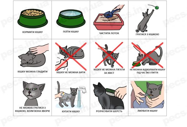 Кошка (на украинском)